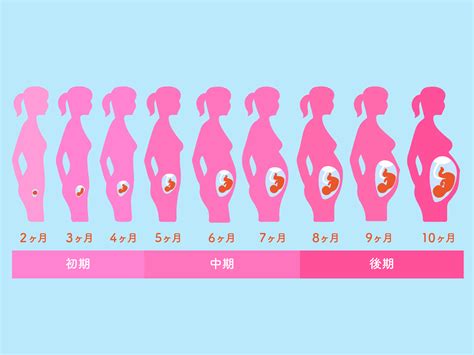 妊娠初期 ムラムラする|【助産師監修】妊娠初期（4週～15週）の症状と気を。